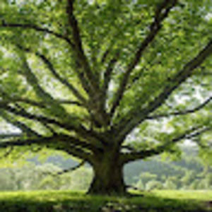 Meet your Posher, Jonny